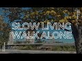 Slow living, walk alone, Novi Sad