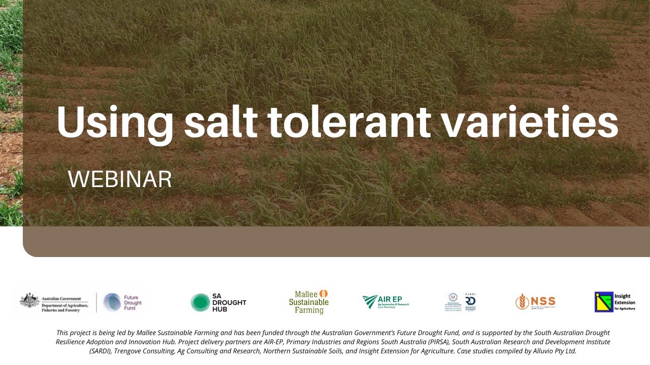 Using salt tolerant varieties