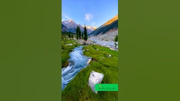 "وقال ربكم ادعوني استجب لكم" #من#سورة_غافر  🌀#ماهر_المعيقلي