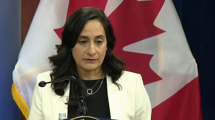 'Russia is testing the will of Canada': Defense Mi...