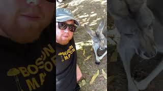 Steve Irwin’s Australia Zoo!  A Dream Come True!
