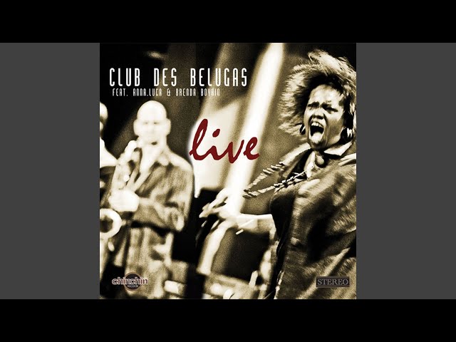 Club Des Belugas - Hard Swing Travellin' Man