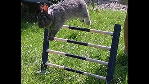 CS:GO Bunny Hop Macro (Razer Products)