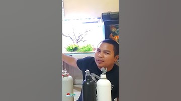 Thumbnail of BERAPA BIAYA CO2 AQUASCAPE?