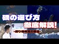 初心者でもわかる!磯で青物が釣れるポイント・場所の選び方徹底解説!