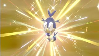 이로치 두루지벌레,레돔벌레,이올브 (1255번째 알)