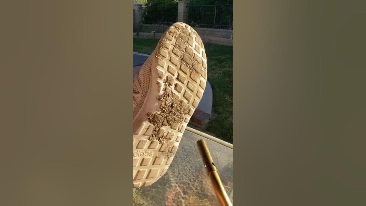 How to get Sap off shoe YouTube