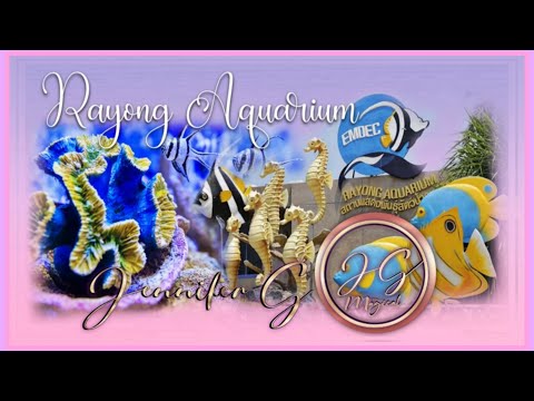 Rayong Aquarium | Adventure 🐠