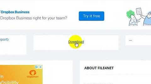 Faststone  capture 8.6 with serial key | افضل برنامج لتصوير الشاشه+ السريال الصحيح _ videos tube