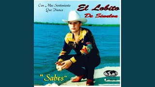 Video thumbnail of "El Lobito de Sinaloa - Sabes"