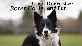 Lexa - Border Collie ::DogFrisbee and Fun::