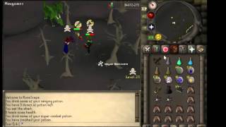 Tsar Erik I PK Vid 5 Pure Pking