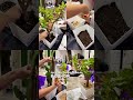 28 сентября 2025 г.