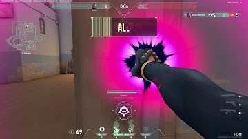 why reyna pre-nerf was BROKEN