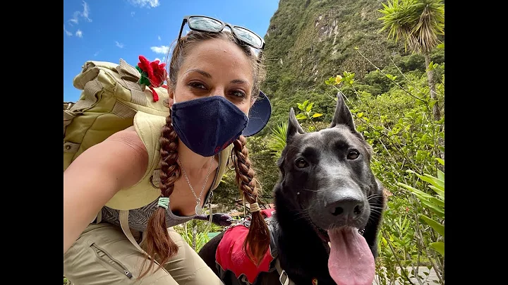 Expeditionary Service Dog River Roux touring Machu...