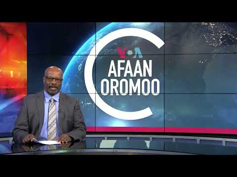 Tamsaasa Guyaadhaa Guyyaa