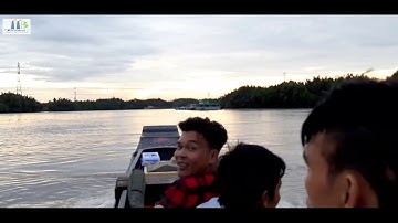 Câu cá giải trí cuối tuần dưới chân cầu phước kiển H. Nhà bè//dân dã miền quê official