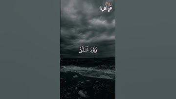 تلاوة هادئة للقارئ #عبدالرحمن_مسعد #قرآن #quran #تلاوة_خاشعة #قران_كريم