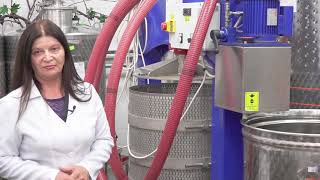 Tehnologii de procesare a strugurilor şi maturarea vinului