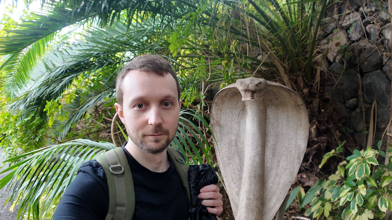 Jungle Park, Southern Tenerife