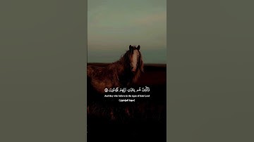 سورة المؤمنون القارئ صلاح المصلي 💚#quran 🍃#القرآن_الكريم 🍂#محمد 🥀#صلى_الله_عليه_وسلم 🍁