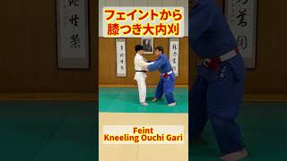 金メダリストから学ぶ投げ方|フェイントを使った膝つき大内刈#柔道 #膝つき大内刈 #大内刈 #フェイント #柔道技解説 #金メダリスト #judo #judotechnique #shorts