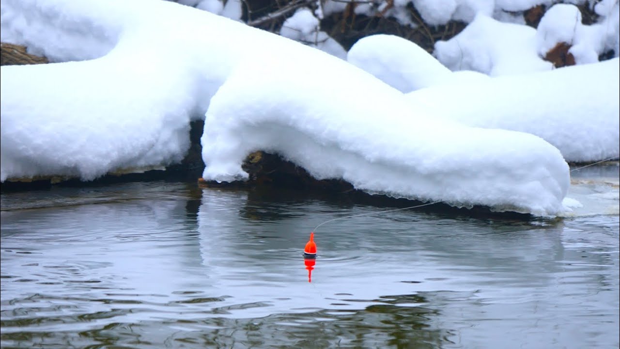 TINY CREEK WINTER STEELHEAD BOBBER DOWNS! - Float Fishing 2025