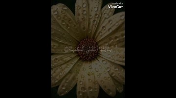 يا أيتها النفس المطمئنة/#قرآن #ايات_مؤثرة #آيات_القرآن#اطمئنان /#نور القرآن💛💛 حالات واتساب #ستوريات