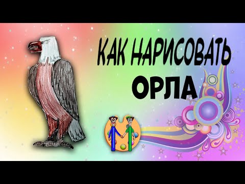 Как нарисовать орла. Онлайн-школа рисования "Малевашки"