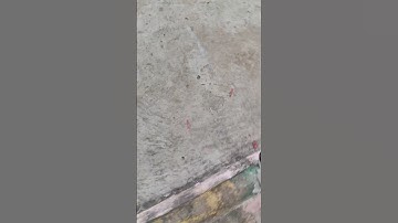 fire crackers testing #shorts #viral #youtubeshorts