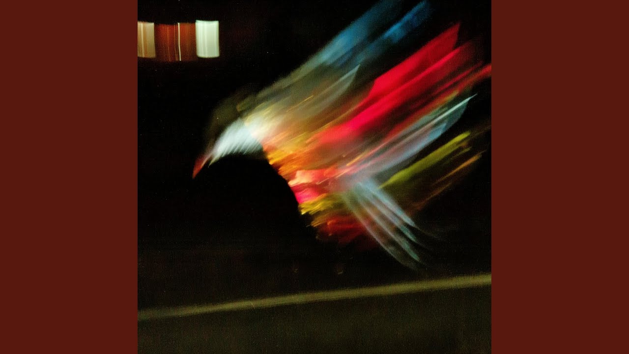 Guarda Feathers Fly su YouTube Guarda Feathers Fly su YouTube