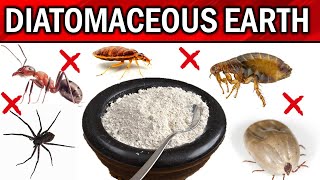How to Use Diatomaceous Earth for Pest Control - FLEAS, TICKS, BEDBUGS, COCKROACHES, DOGS & CATS... screenshot 3