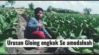 Story WA Bahasa madura lucu