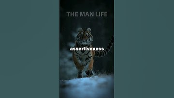 Assertiveness vs Agression                     #masculinity #confidence #assertiveness