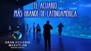 Acuario de Mazatlán • El acuario más grande de Latinoamérica #acuario #mazatlan