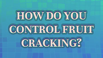 Jak můžete kontrolovat praskání ovoce?