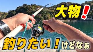 Download Lagu 初心者が経験した車中泊2日目の記録です MP3