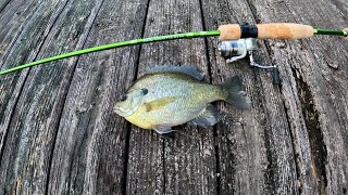 ACC Crappie Stix Review