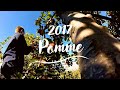 Cueillette de pommes | Cinematic 2016