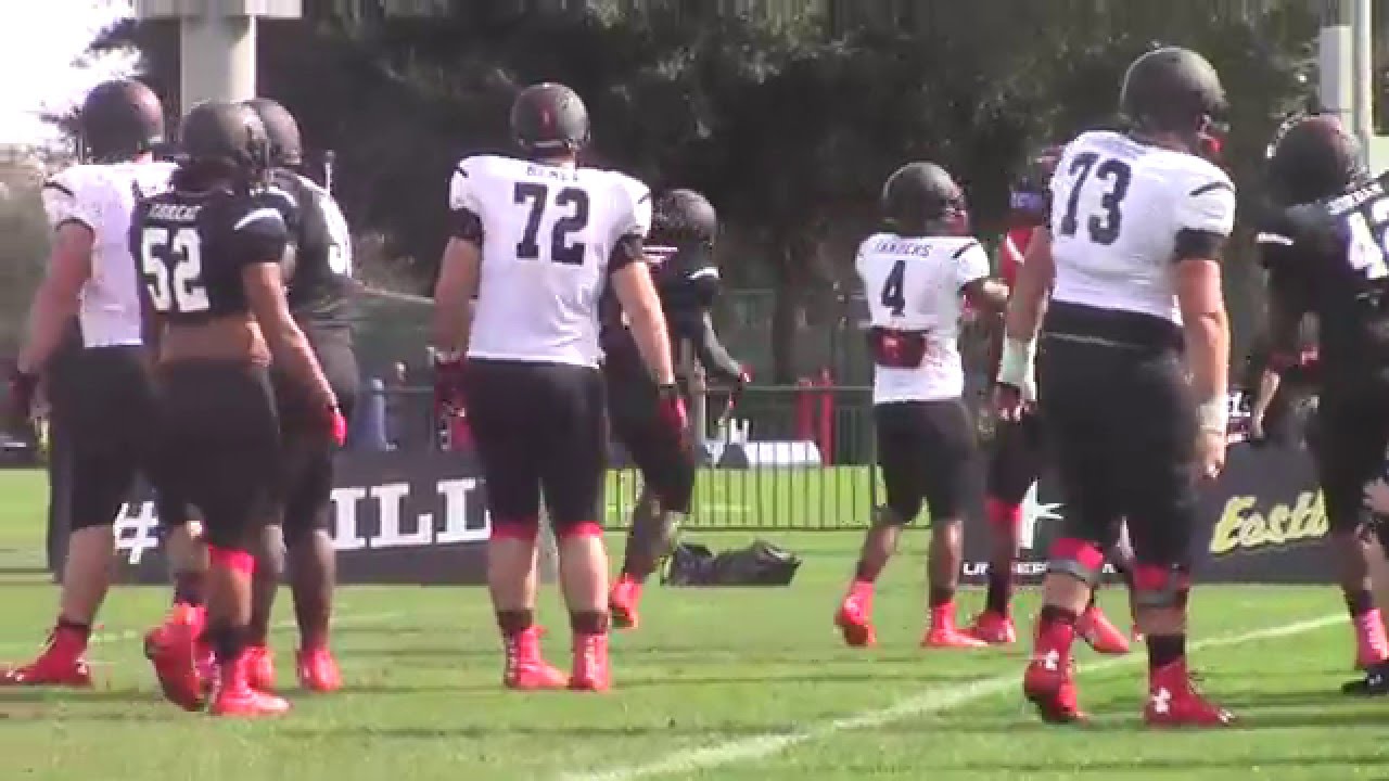 florida gators under armour