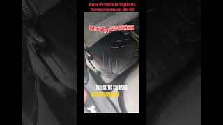 Auto Premium Importaciones. Somos Expertos en Tapetes Termoformados 3D–5D.