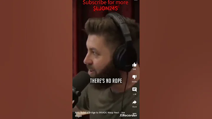 ants build a bridge to invade wasps nests @joerogan #viral #1trendingonyoutube #viralvideo #videos