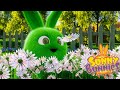 Çocuklar için Çizgi Filmler | SUNNY BUNNIES ÇİÇEK PICKING | Çocuklar İçin Komik Karikatürler