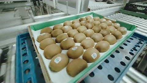 WITRON: Fully automated picking of fresh products, fruits + vegetables