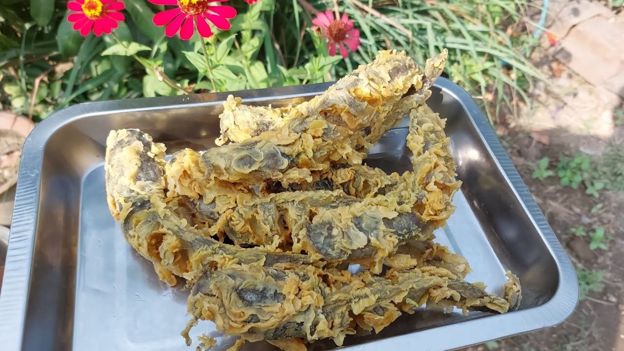 BOCORKAN RESEP IKAN LELE CRISPY RENYAH TERBARU