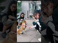Folks, here comes the second episode of college students walking their dogs!