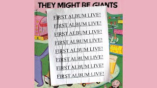 They Might Be Giants - Hide Away Folk Family (First Album Live)