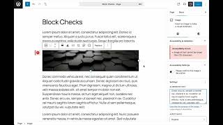 A demo of version 2.1 of the Block Accessibility Checks plugin for WordPress