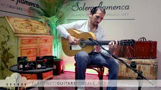 Marcelo Barbero 1950 flamenco guitar for sale played by José Andrés Cortés