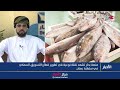 الرئيس التنفيذي لمنصة "بحار": المنصة تحول المزايدة في أسواق الجملة بالقطاع السمكي لمزايدة إلكترونية